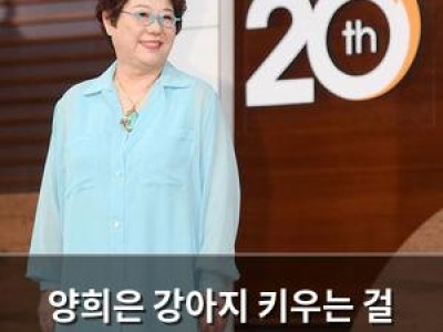 양희은 강아지 키우는 걸 그만둔다며 작별 인사