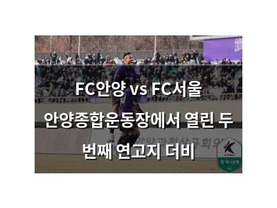 FC안양 vs FC서울 안양종합운동장에서 열린 두 번째 연고지 더비