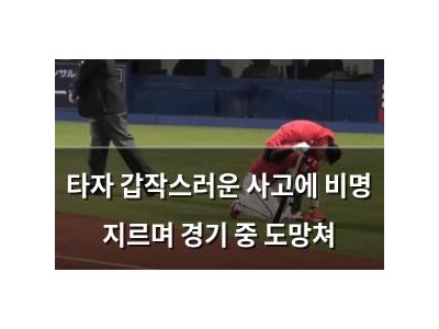 타자 갑작스러운 사고에 비명 지르며 경기 중 도망쳐