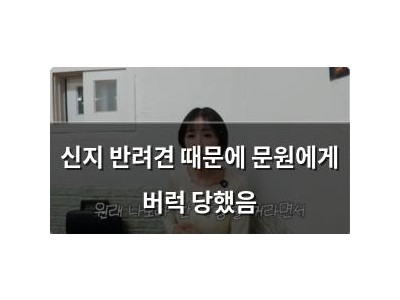 신지 반려견 때문에 문원에게 버럭 당했음