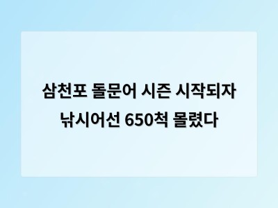 삼천포 돌문어 시즌 열리자 관광객 몰리며 경기 활성화 기대 but 환경 문제도 우려