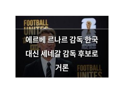 에르베 르나르 감독 한국 대신 세네갈 감독 후보로 거론