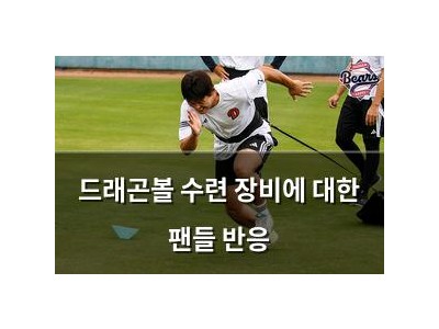 드래곤볼 수련 장비에 대한 팬들 반응